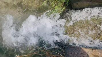 Flowing Water Stream for Irrigation, Agriculture, or Environmental Conservation Projects video