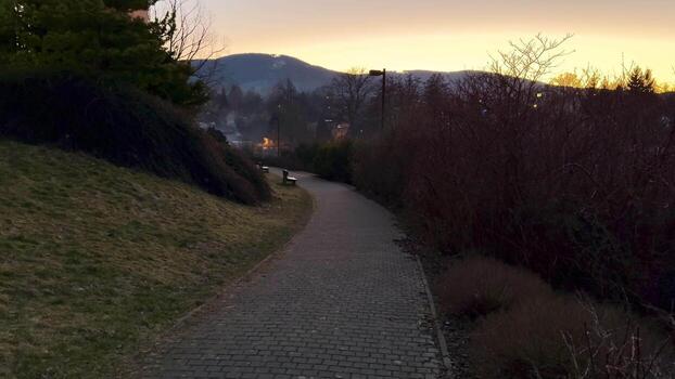 A path with a tree on one side and a mountain in the background photo