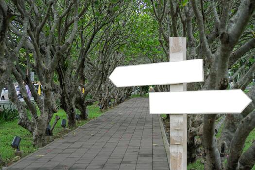Empty directional arrows information panel path trail marker display board signage with tree tunnel photo