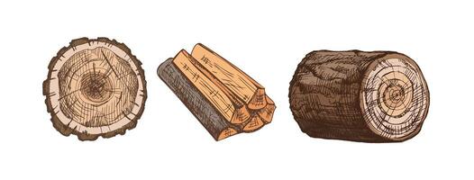 Illustration of wood logs and timber vector
