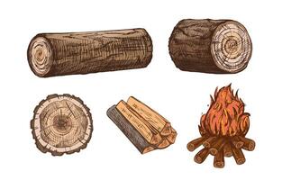 Wood logs and campfire illustration vector
