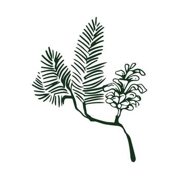 Hand drawn fir branch with a pinecone. drawing with black outline. Pine branch with a cone on a white background. Illustration for New Year decor, Christmas design, postcard, label, invitation. Ink sketch. illustration vector