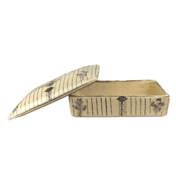 cerâmico com tampa caixa aberto png