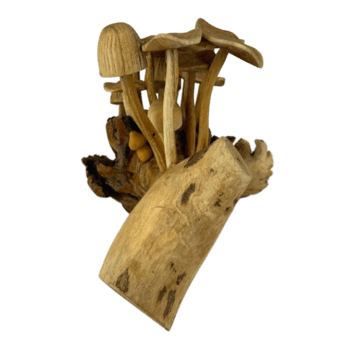 vintage feito à mão de madeira cogumelo costas png