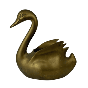 suave latão cisne certo png
