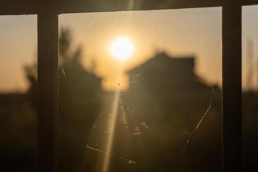Sunlight filters through a delicate spider web, creating a shimmering effect as the sun sets behind a silhouette of a house in the distance photo