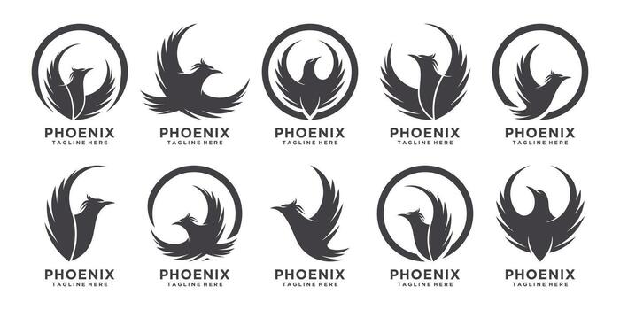 Set bundle phoenix logo design unique concept Part 1 vector