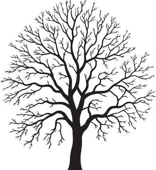 Detailed silhouette of a bare deciduous tree with intricate branches isolated on white background vector