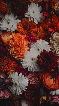 A vibrant array of colorful flowers in shades of orange, white, and burgundy, creating a lively backdrop. photo