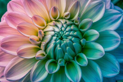 un de cerca de un vibrante flor exhibiendo un formación de pastel colores y delicado pétalo patrones. foto