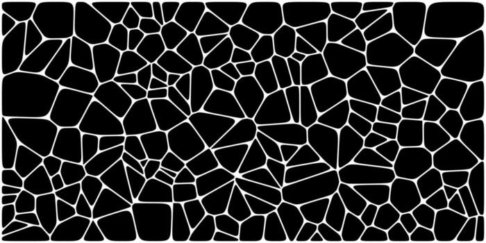 Abstract irregular polygon pattern with white outlines on a black background resembling cracked stone or mosaic. vector