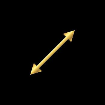 Diagonal Line Gold Color Arrow Icon Template vector