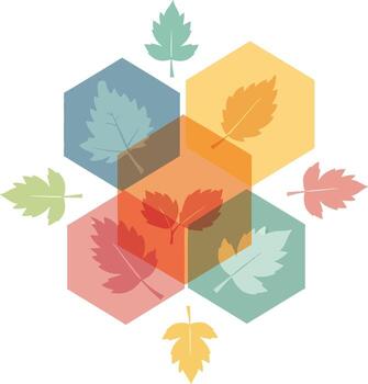 Colorful Autumn Leaves Arranged in Geometric Hexagonal Pattern vector