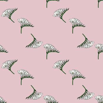 elegante sin costura modelo presentando delicado blanco fresia flores en un suave rosado fondo, exhibiendo un mano dibujado estilo con intrincado detalles. vector