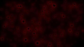 resumen brillante partículas lazo animación video