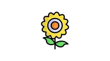 zon bloem schets gekleurde geanimeerd icoon. modern gekleurde schets symbolen. verzameling van traditioneel elementen. video