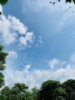 A view of a park with trees and a sky photo