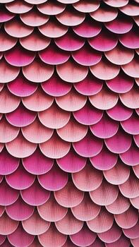 Vibrant pink scales create a visually striking pattern with a smooth gradient. photo
