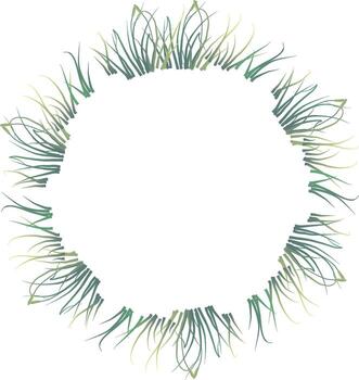 Delicate botanical circular leaf wreath, fine line illustration ready for branding, web design, and ecomarketing visuals vector