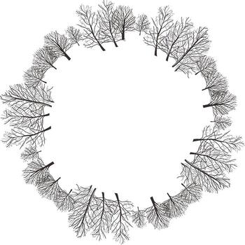 Circular ring of leafless trees forming a natural frame, ideal for winter nature themes, branding, and creative web visuals. vector