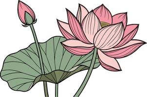 elegante rosado loto obra de arte con detallado pétalos sagrado loto florecer dibujo en botánico diseño vector