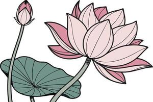 sagrado loto florecer dibujo en botánico diseño hermosa loto pintura con suave floral sombras vector