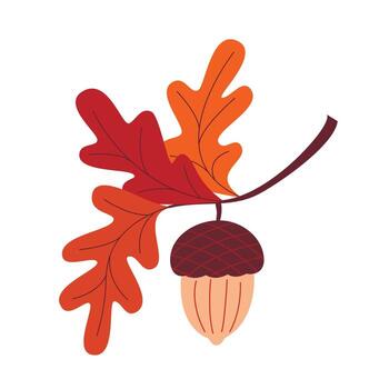 Acorn on branch with leaves clip art. Autumn illustration of oak tree branch with nut, graphic vector