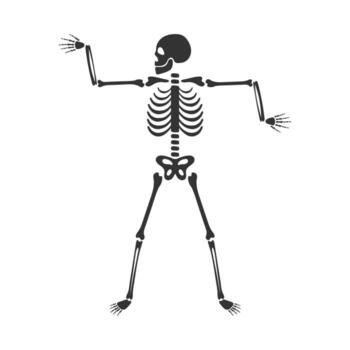 Skeleton character on Day of the Dead, skeleton character vector