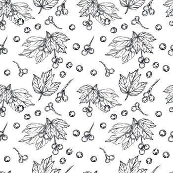 Seamless pattern of viburnum berries, leaves. All objects are hand-drawn in ink and converted into . The illustration is suitable for printing on kitchen textiles, tableware. vector