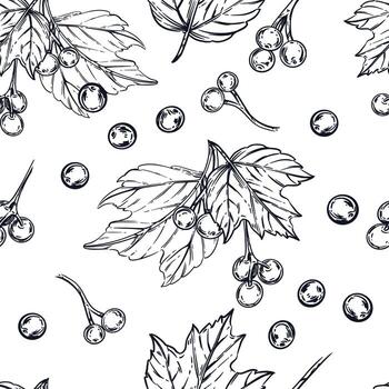 Seamless pattern of viburnum berries, viburnum leaves. All objects are hand-drawn in ink and converted into . The illustration is suitable for printing on kitchen textiles, tableware vector