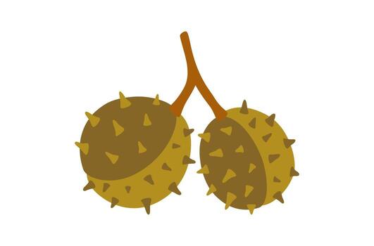 semillas de castaña árbol, verde y marrón colores. sencillo dibujado a mano elemento en un blanco antecedentes para pegatinas, web diseño, y postales vector