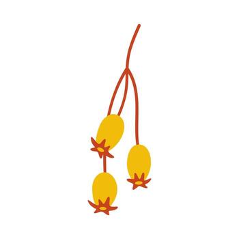 Seeds of shrub, three yellow berries on a twig. Simple handdrawn element on a white background for stickers, web design, and postcards vector