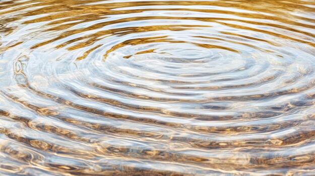 A circular pattern of water ripples in a pond photo