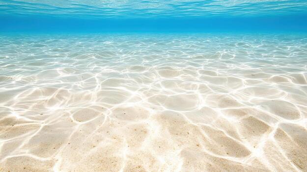 Underwater view of the ocean floor with clear water photo