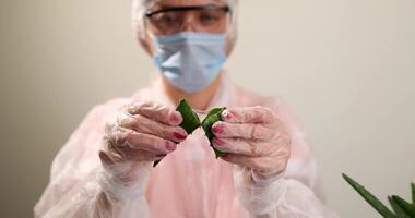 explorando plantar propriedades dentro uma laboratório configuração para farmacia pesquisa video