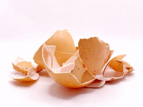 Broken eggshell fragments create an abstract still life on a textured white . photo