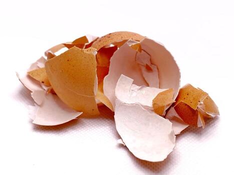 Broken eggshell pieces scattered on a white create an abstract organic pattern photo