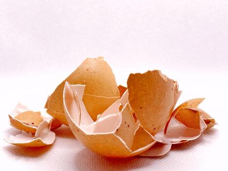 Broken eggshell pieces scattered on a white create a delicate, textured still life. photo