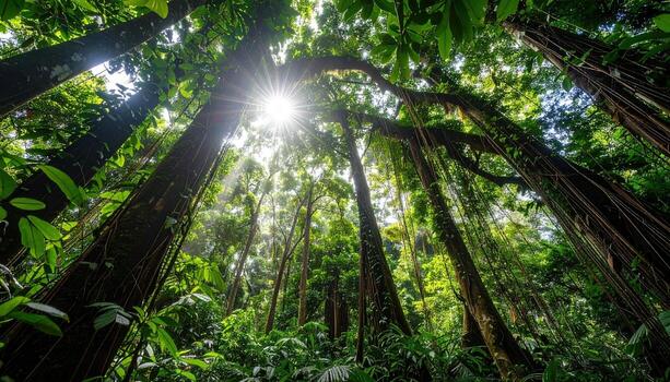 Lush green rainforest canopy, sunlight piercing through towering trees, vibrant colors and dense foliage create a breathtaking, vibrant scene. photo