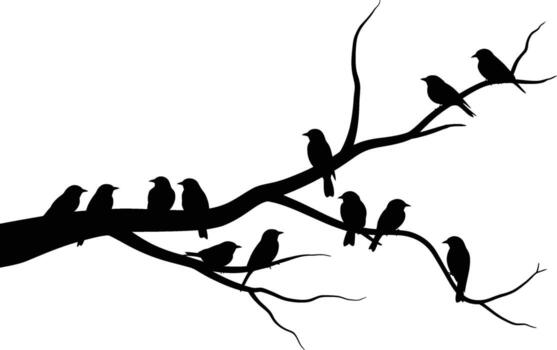 A flock of birds perched on a bare tree branch silhouette vector