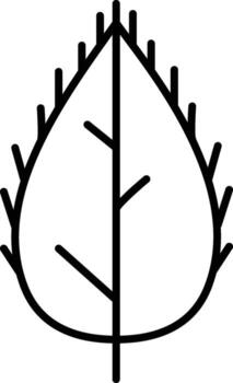 Beech leaf icon. Simple thin line, outline of Leaves icons for UI and UX, website or mobile application on white background vector