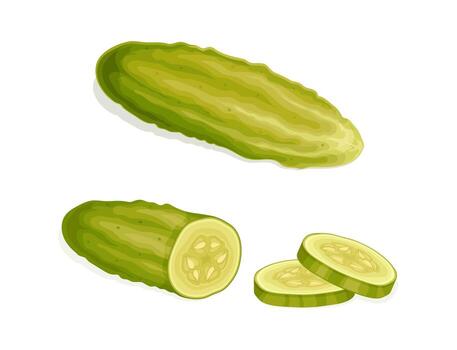 Sliced and Whole Pickled Cucumber or Gherkin with Salted Taste Set vector