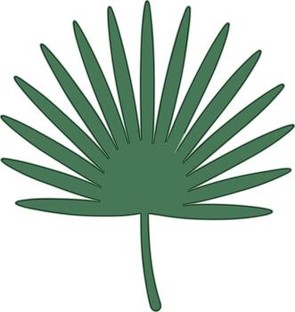 Simple Flat Style Green Palm Leaf Botanical Element Graphic Resource vector