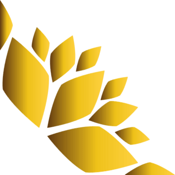 Decorative Gold Floral Background Element png