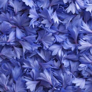 Soft Purple Floral Background with Delicate Petals Creating a Serene and Beautiful Natural Texture for Design Projects photo