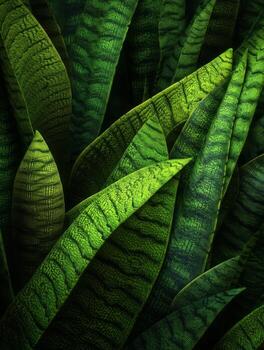 Lush Green Leaves with Intricate Patterns and Textures for Nature and Botany Themes in Decorative or Educational Contexts photo