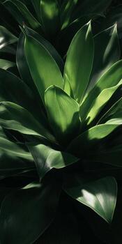 Lush Green Leaves Overlapping in Natural Light Creating a Tranquil and Serene Atmosphere for Garden Lovers photo
