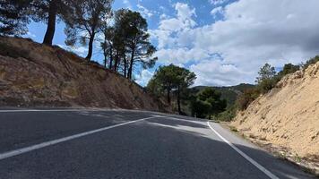 A road with trees on both sides and a hill in the background photo