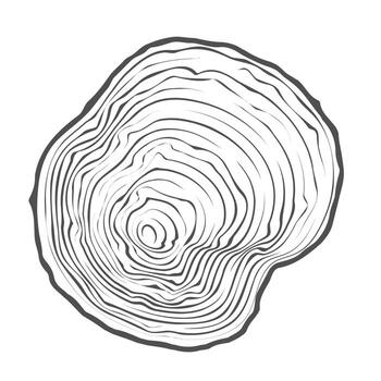 árbol anillo de madera registro. circulo anual tocón textura y topografía círculo. contorno madera rebanada. vector
