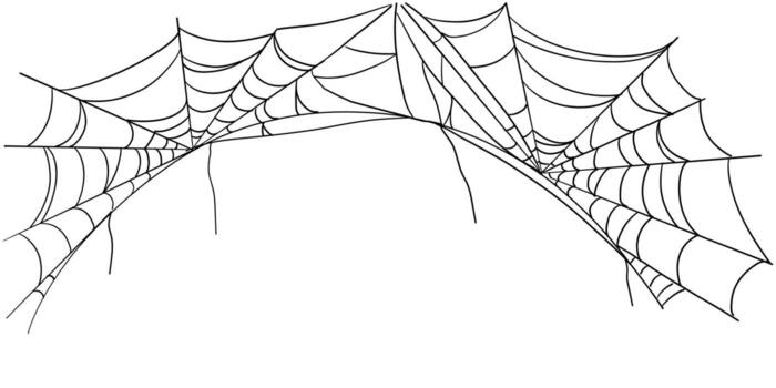 Spiderweb corner line border. Gothic scary hanging net frame. Simple spooky halloween decoration. Cobweb spider trap vector